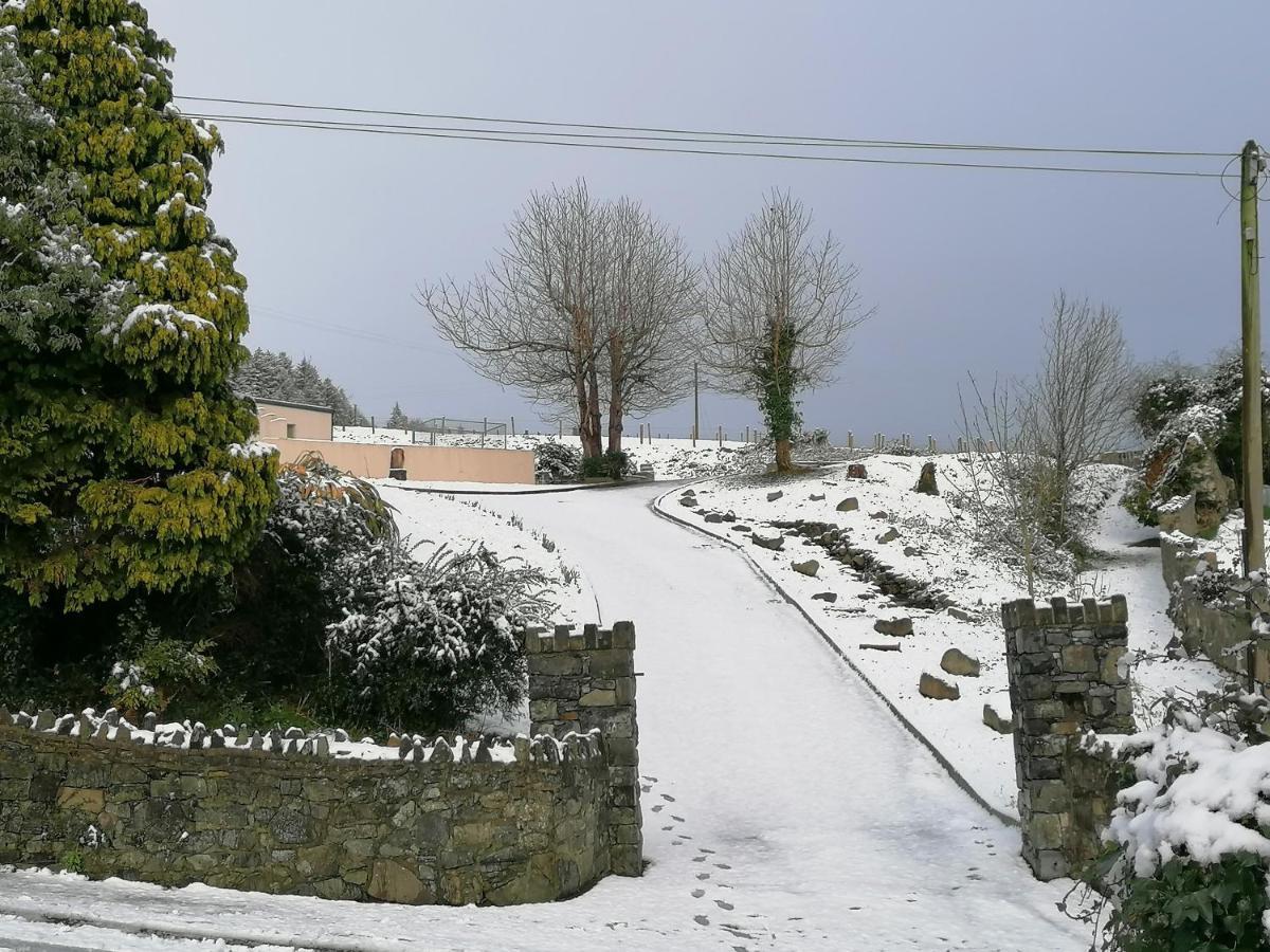 Carlingford Mountain And Sea Views Lägenhet Exteriör bild