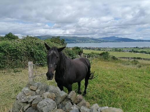 Carlingford Mountain And Sea Views Lägenhet Exteriör bild